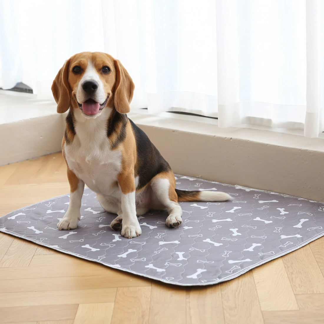 Pup Pad by NovaLife™