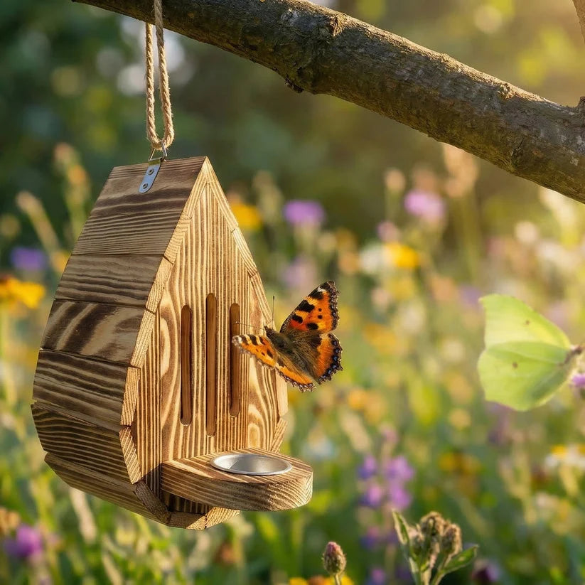 Butterfly House (3-pack)